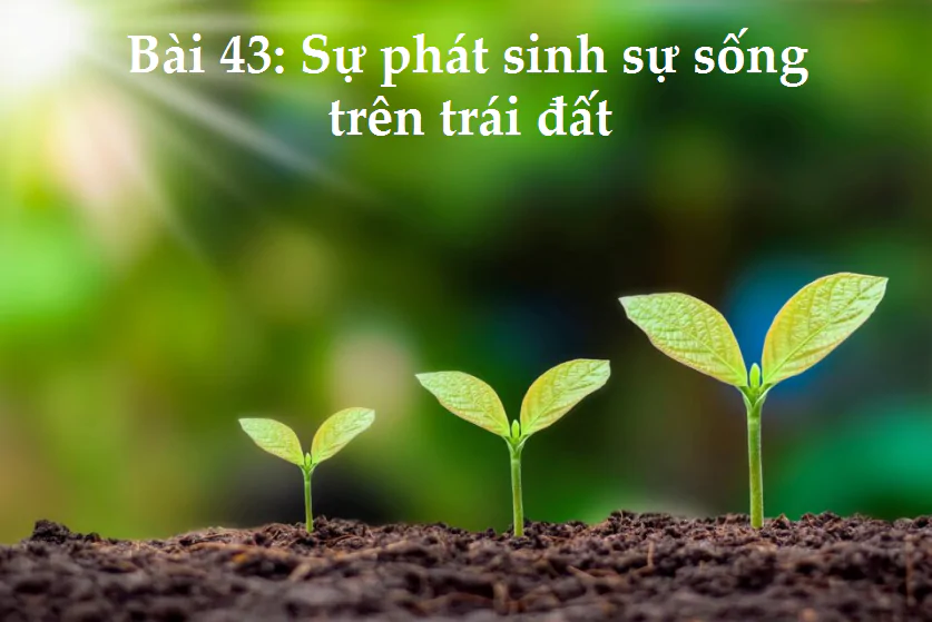 Bài 43: Sự phát sinh sự sống trên trái đất