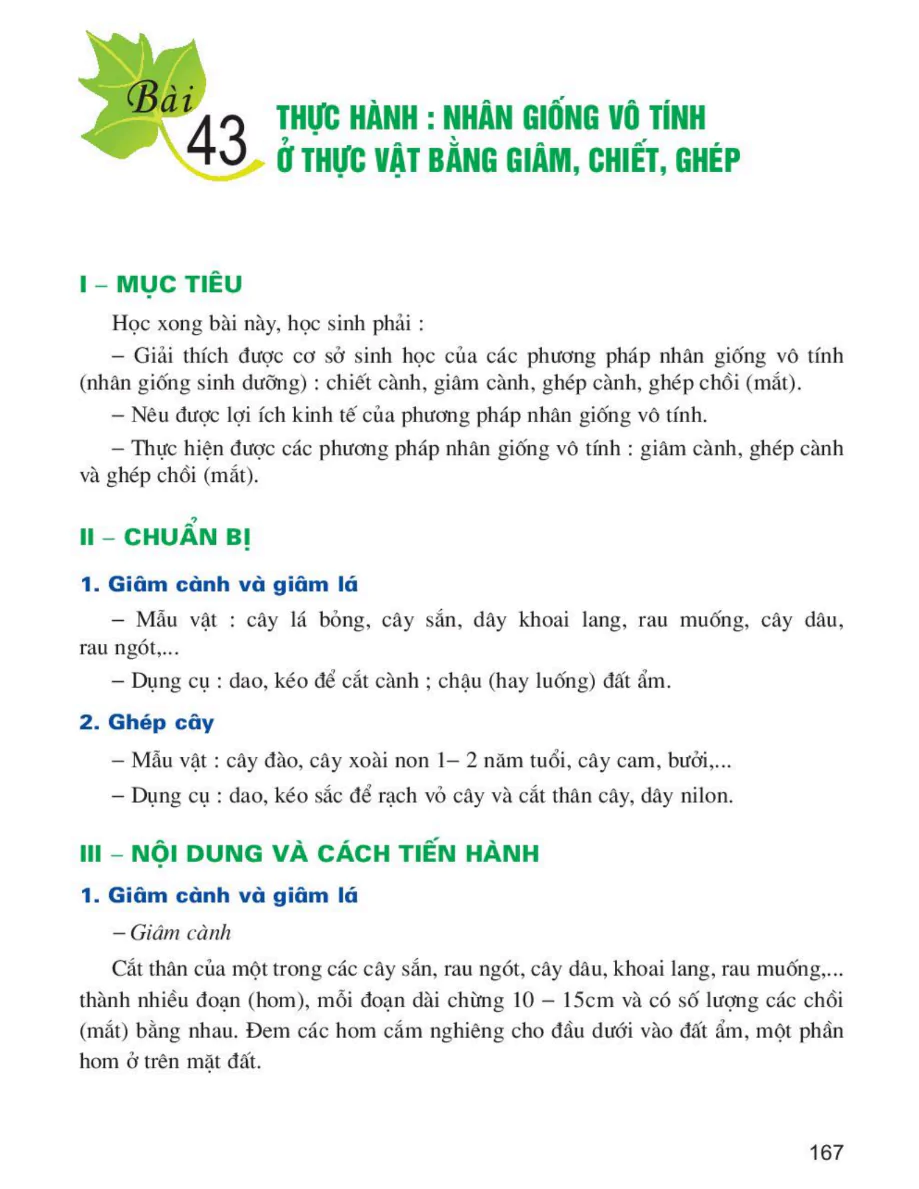 Bài 43: Thực Hành: Nhân Giống Vô Tính Ở Thực Vật Bằng Giâm, Chiết, Ghép