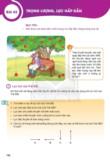 Bài 43: TRỌNG LƯỢNG, LỰC HẤP DẪN