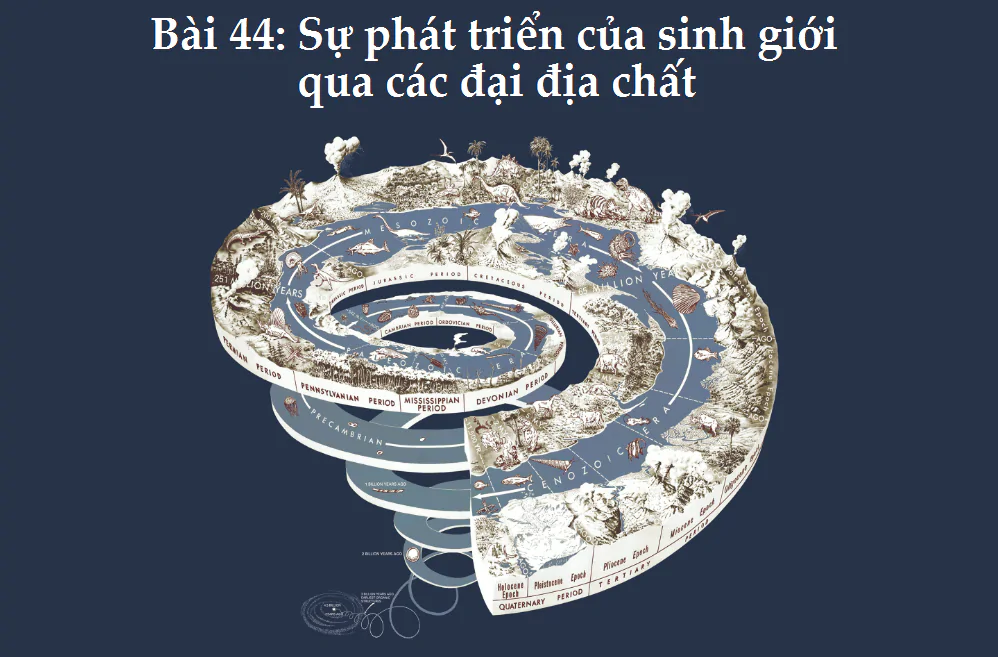 Bài 44: Sự phát triển của sinh giới qua các đại địa chất