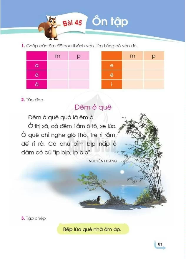 Bài 45: Ôn tập