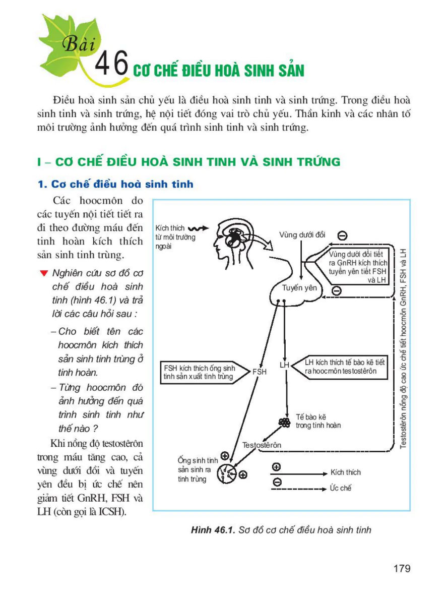 Bài 46: Cơ Chế Điều Hòa Sinh Sản