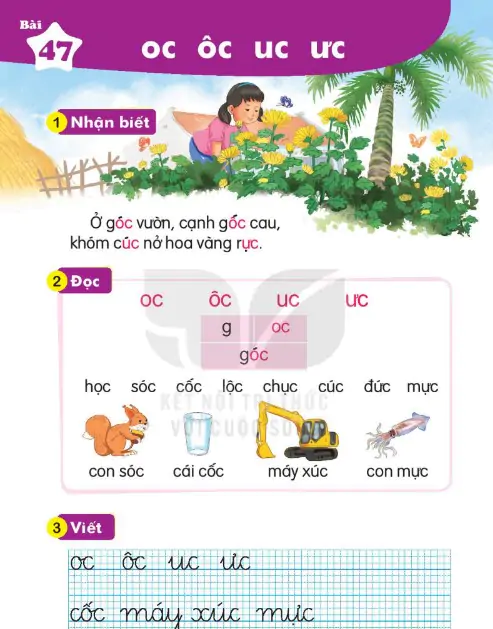 Bài 47: oc ôc uc ưc