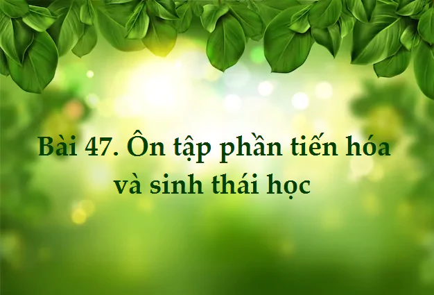 Bài 47. Ôn tập phần tiến hóa và sinh thái học