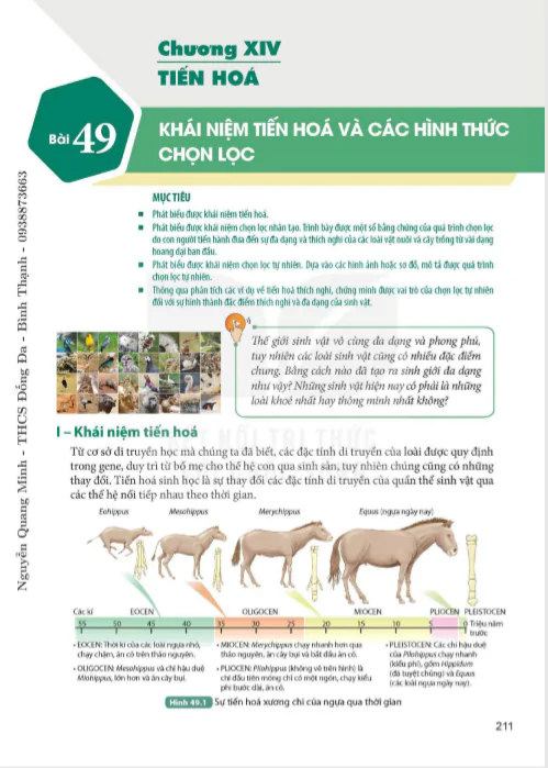 Bài 49 : Khái niệm tiến hoá và các hình thức chọn lọc