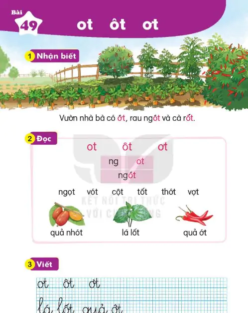 Bài 49: ot ôt ơt