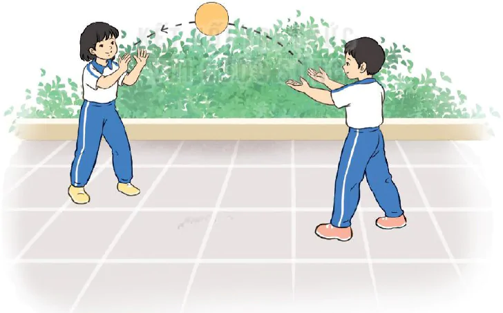 Bài 5. Bài tập di chuyển tung - bắt bóng bằng hai tay