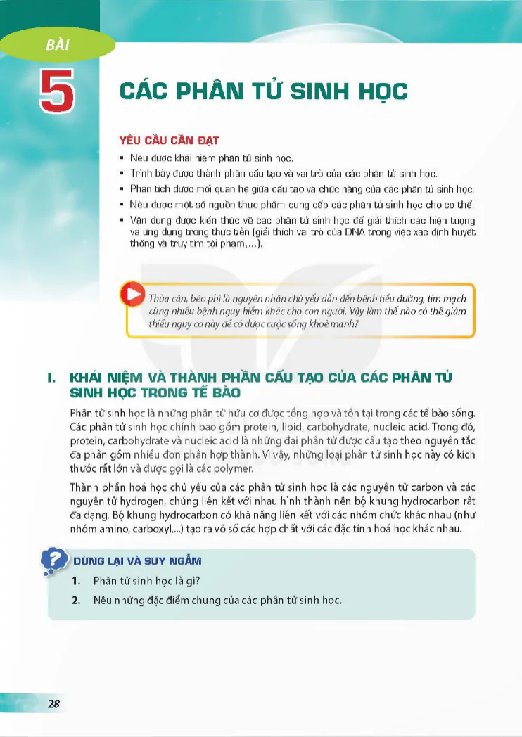 Bài 5: Các phân tử sinh học
