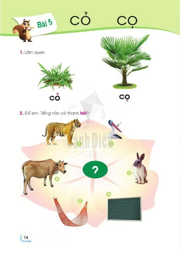 Bài 5: cỏ cọ