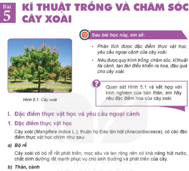 Bài 5: Kĩ thuật trồng và chăm sóc cây xoài