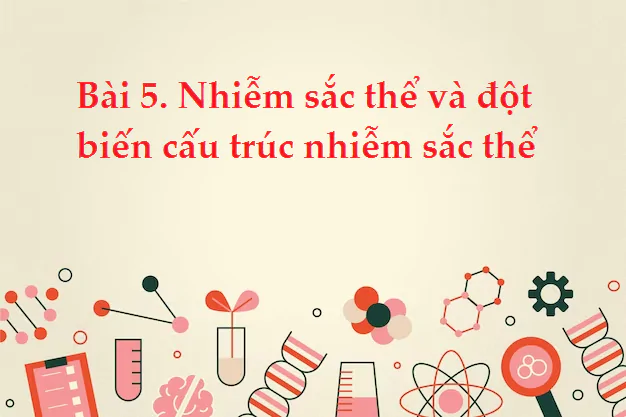 Bài 5. Nhiễm sắc thể và đột biến cấu trúc nhiễm sắc thể