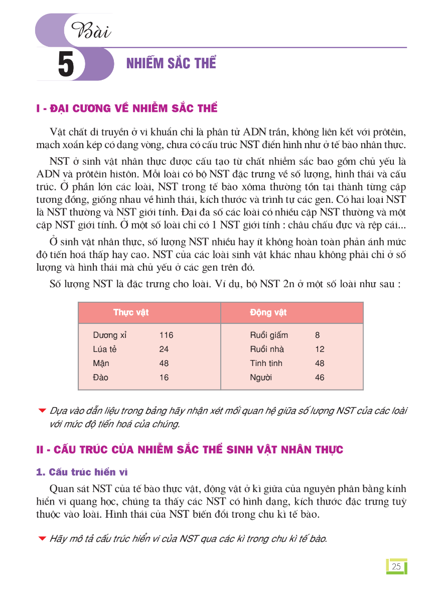 Bài 5: Nhiễm Sắc Thể
