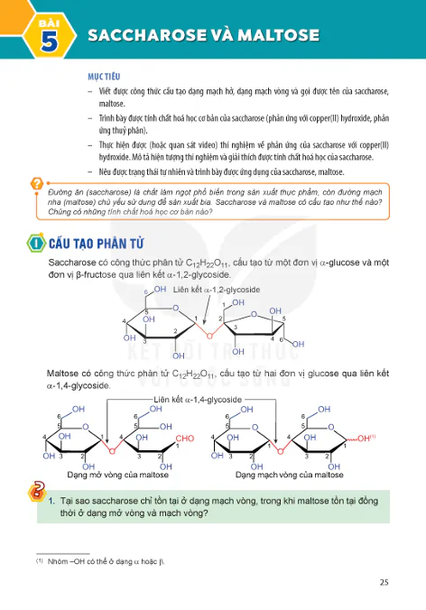BÀI 5: SACCHAROSE VÀ MALTOSE