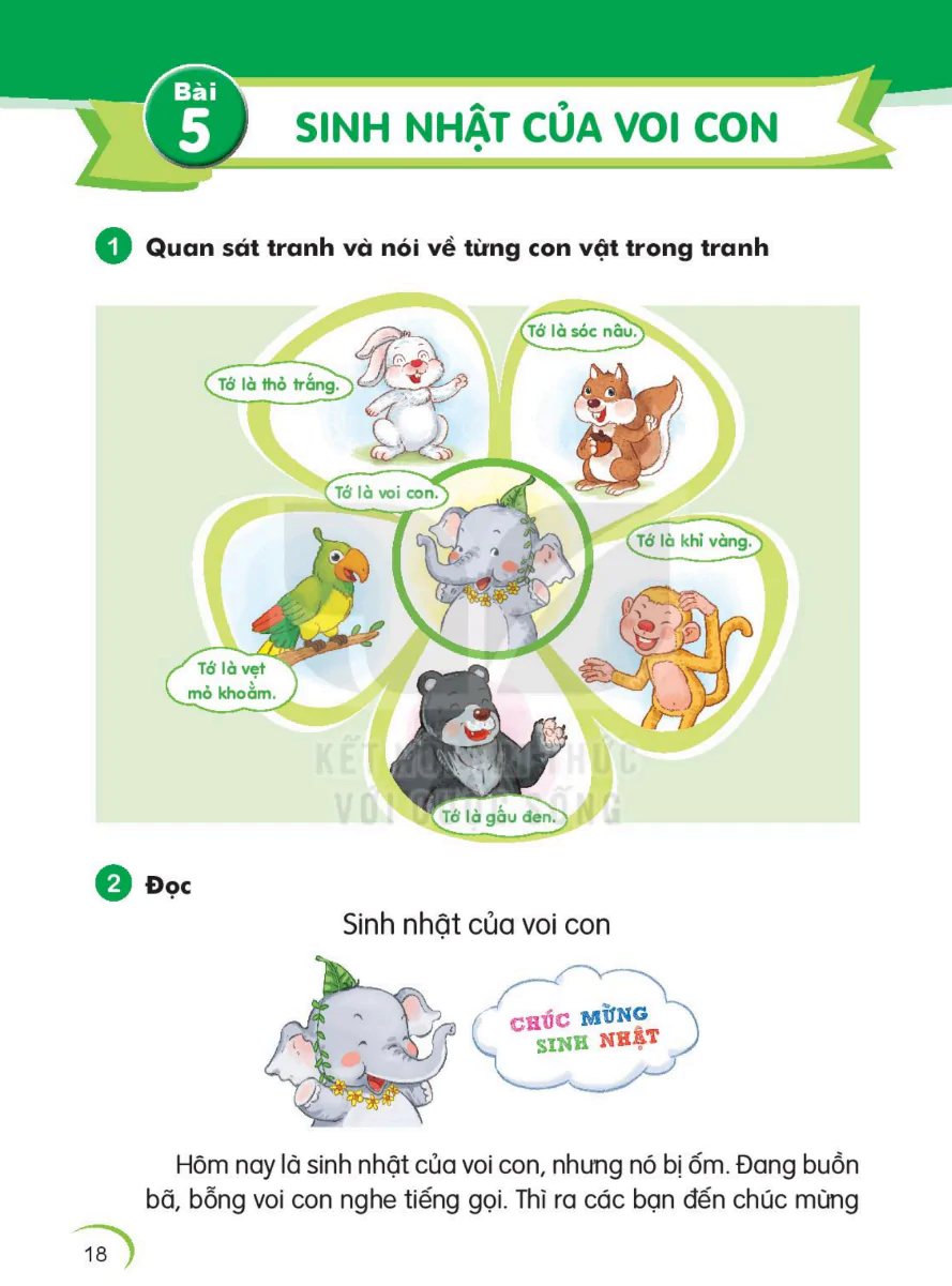 Bài 5: Sinh Nhật Của Voi Con
