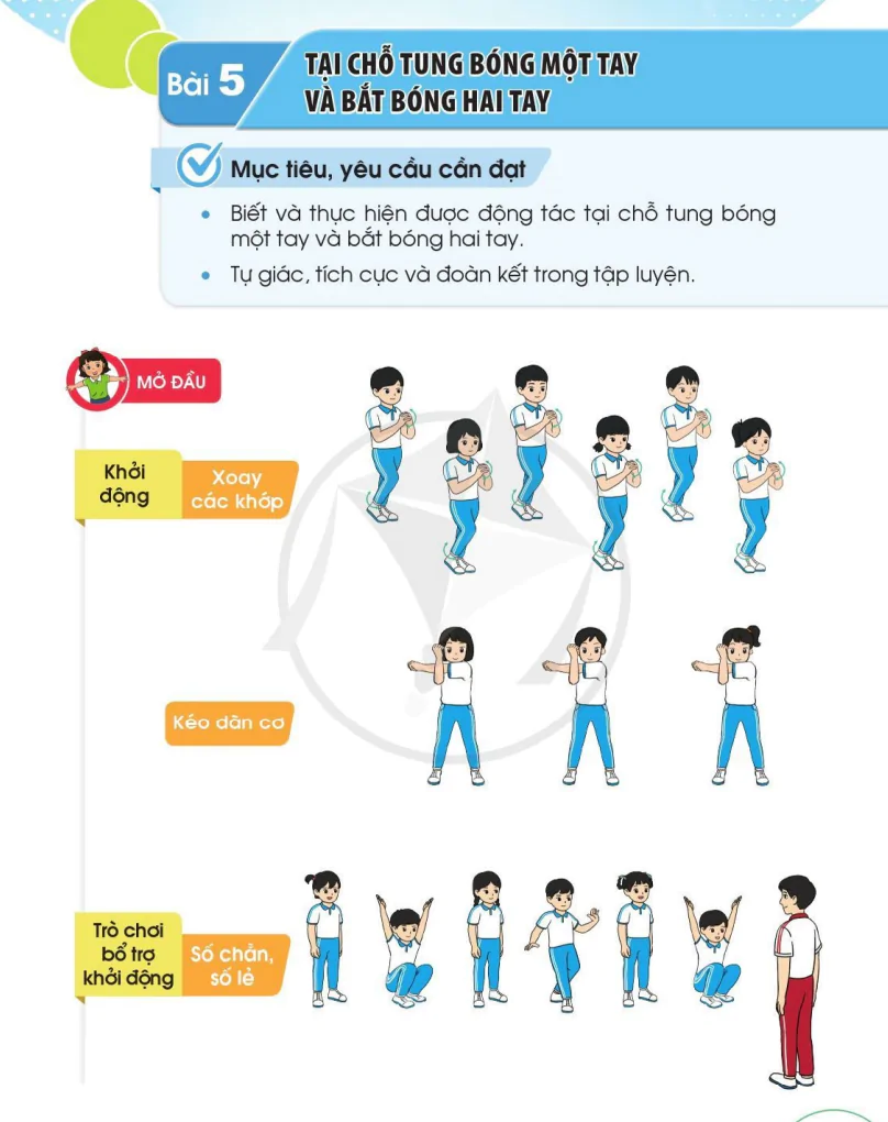 Bài 5: Tại Chỗ Tung Bóng Một Tay Và Bắt Bóng Hai Tay