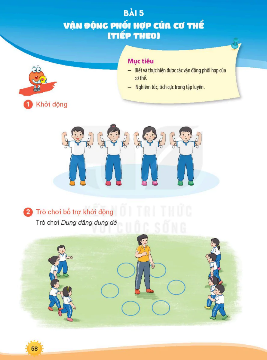 Bài 5: Vận Động Phối Hợp Của Cơ Thể (Tiếp Theo)