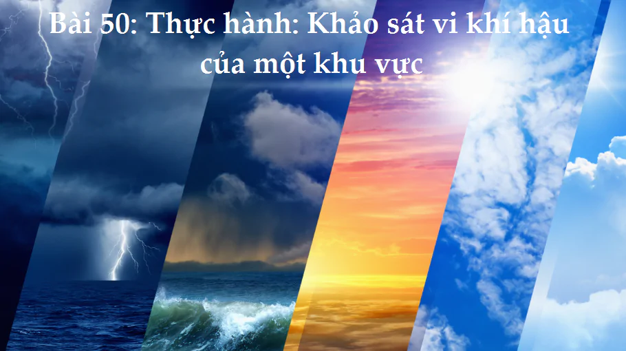 Bài 50: Thực hành: Khảo sát vi khí hậu của một khu vực