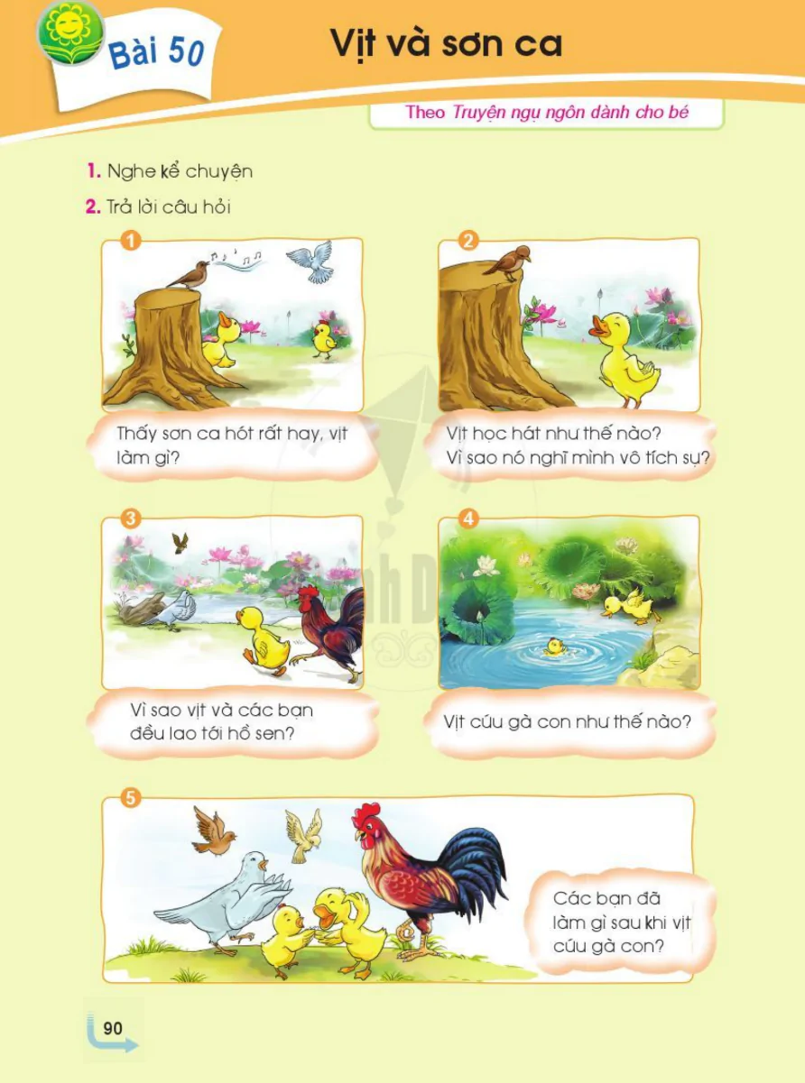 Bài 50: Vịt Và Sơn Ca