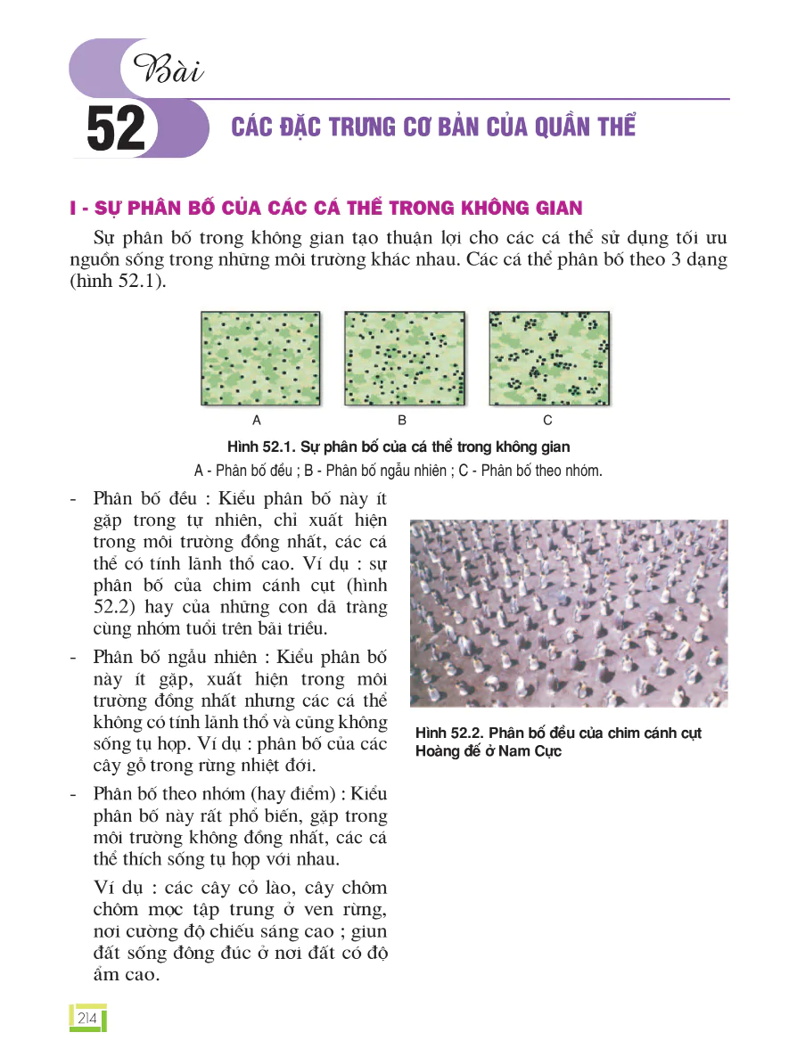 Bài 52: Các Đặc Trưng Cơ Bản Của Quần Thể
