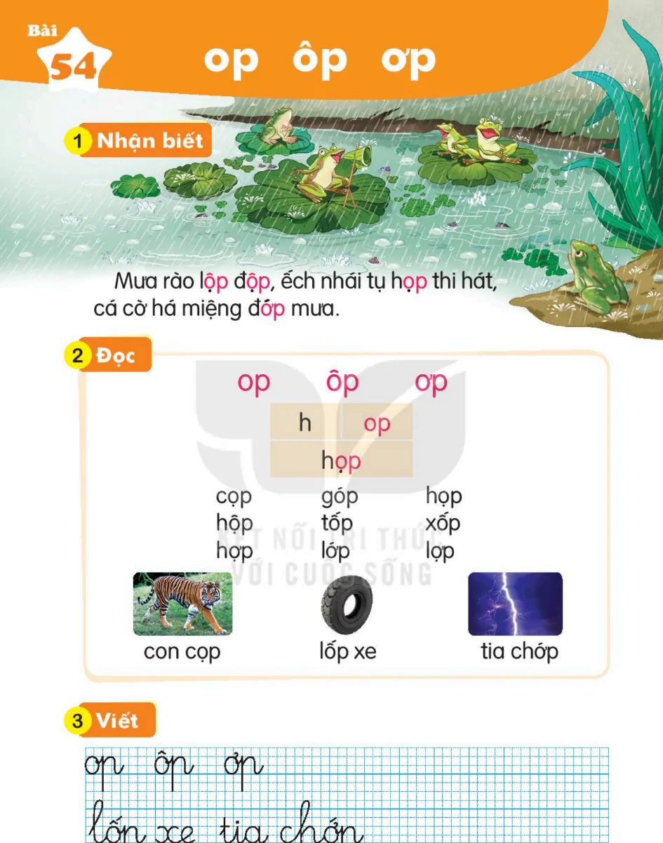 Bài 54: op ôp ơp