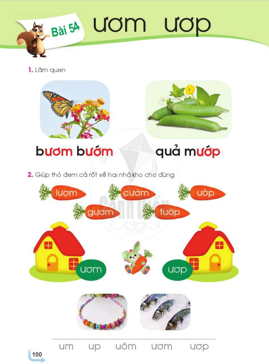 Bài 54: ươm ươp