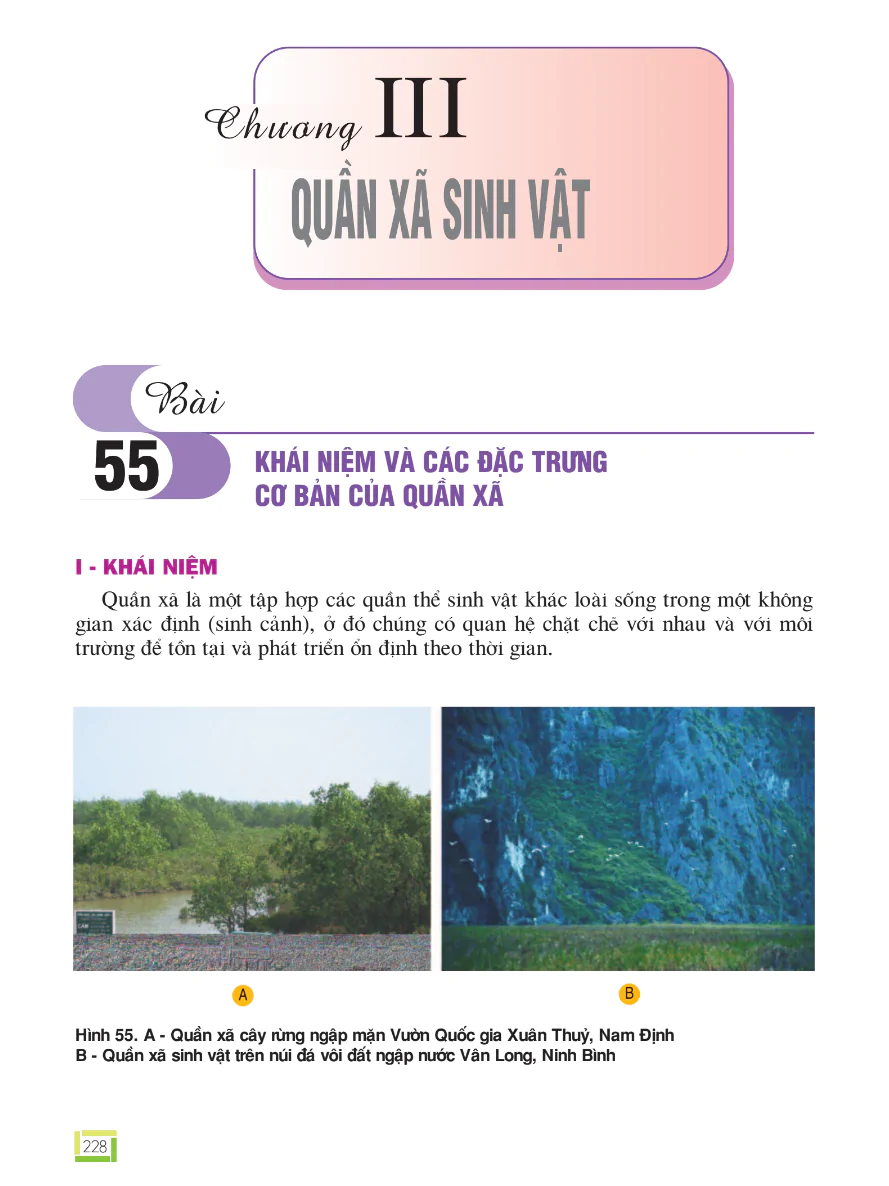Bài 55: Khái Niệm Và Các Đặc Trưng Cơ Bản Của Quần Xã