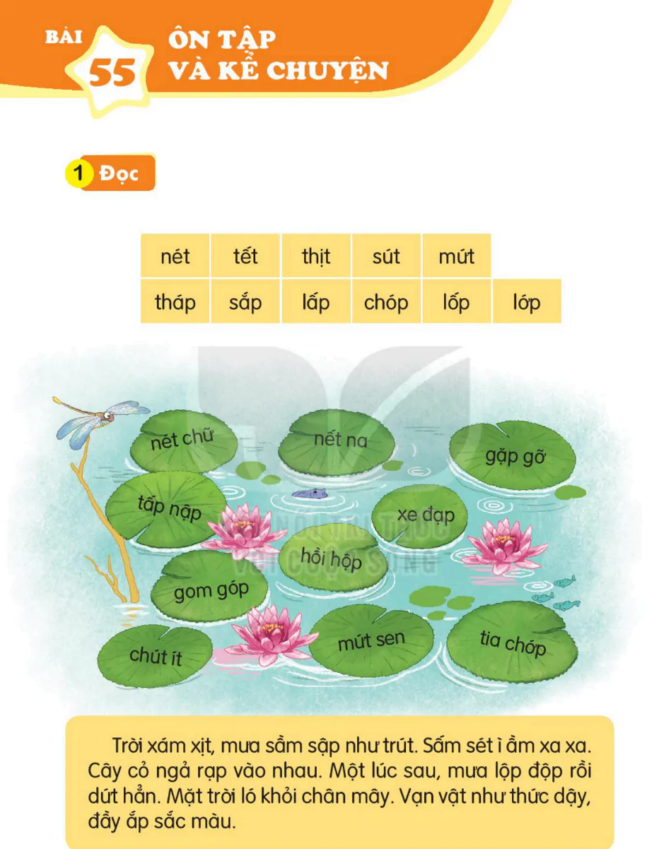 Bài 55: Ôn Tập Và Kể Chuyện