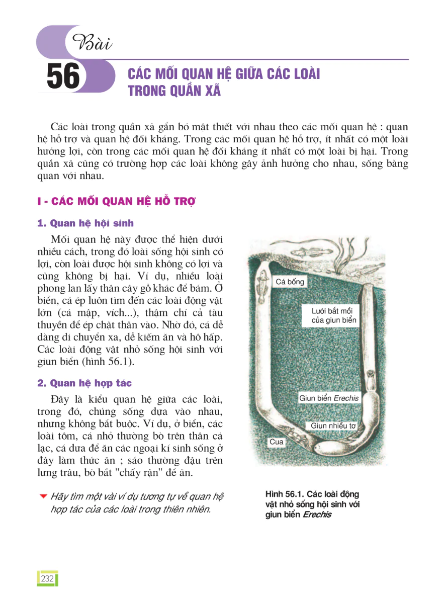 Bài 56: Các Mối Quan Hệ Giữa Các Loài Trong Quần Xã