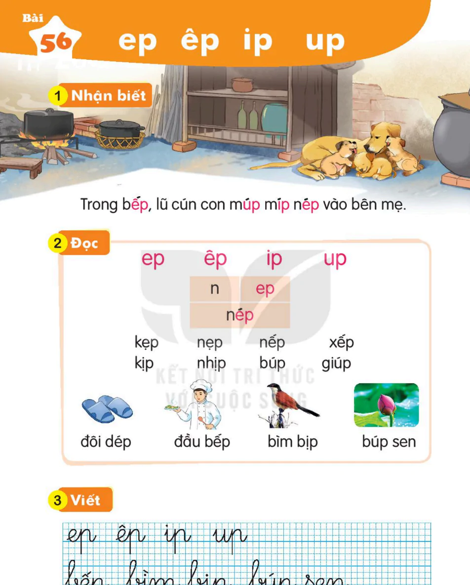 Bài 56: ep êp ip up