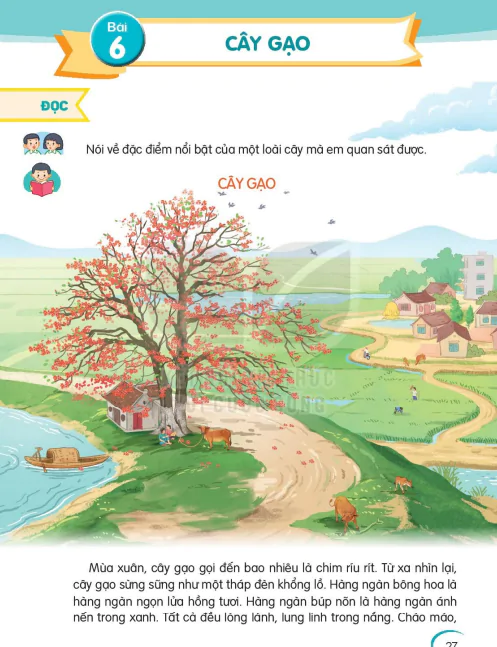 Bài 6: Cây gạo