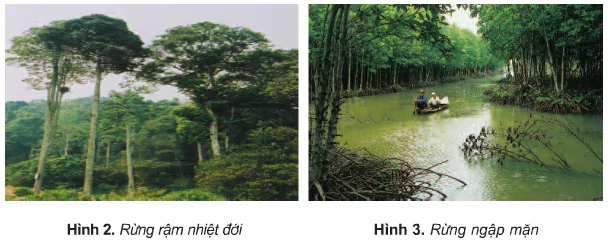 Bài 6: Đất và rừng