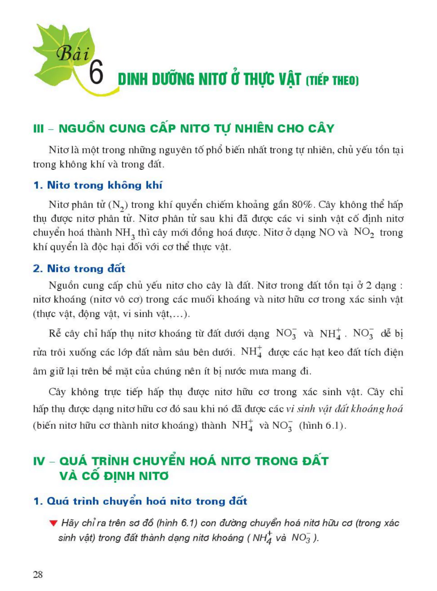 Bài 6: Dinh Dưỡng Nitơ Ở Thực Vật (Tiếp theo)