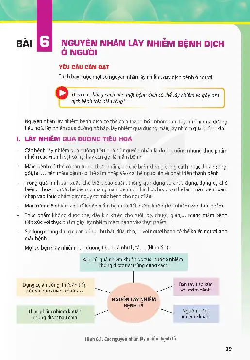 Bài 6: Nguyên Nhân Lây Nhiễm Bệnh Dịch Ở Người