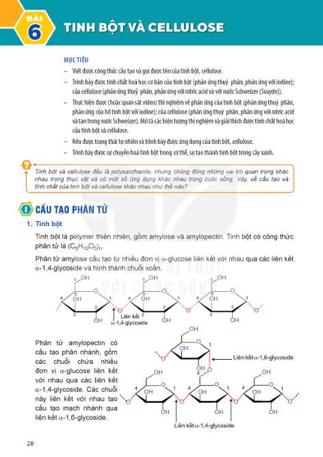 BÀI 6: TINH BỘT VÀ CELLULOSE