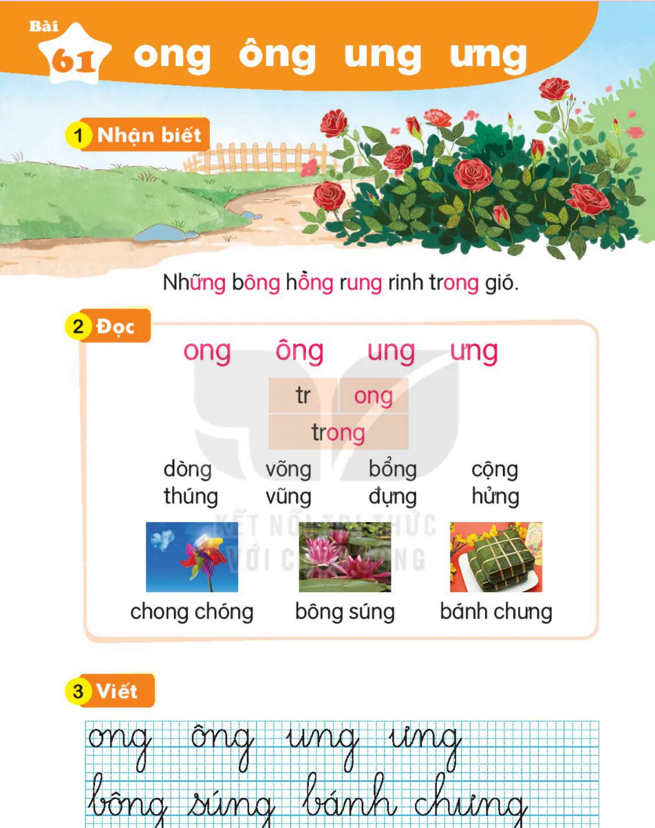 Bài 61: ong ông ung ưng