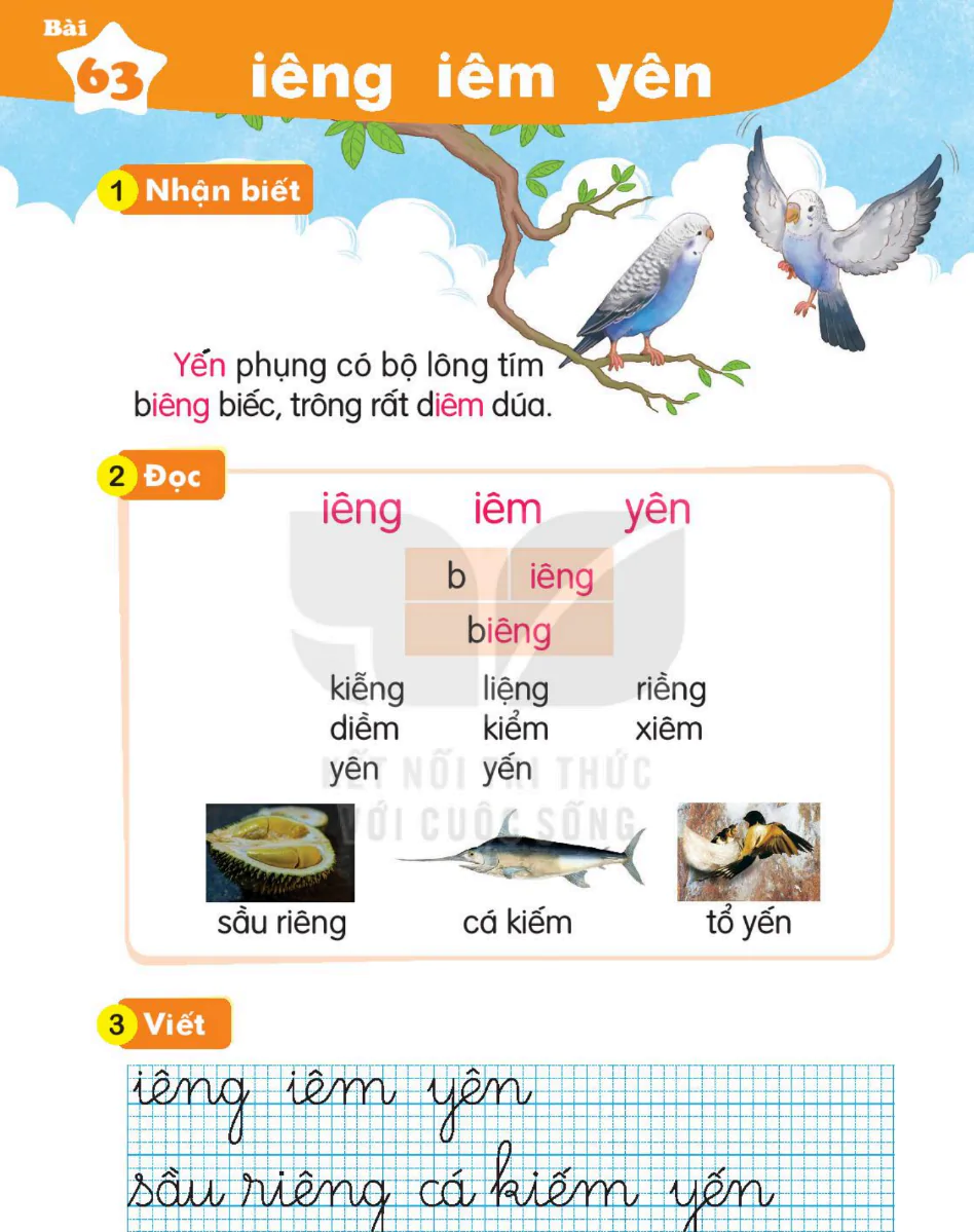 Bài 63: iêng iêm yên