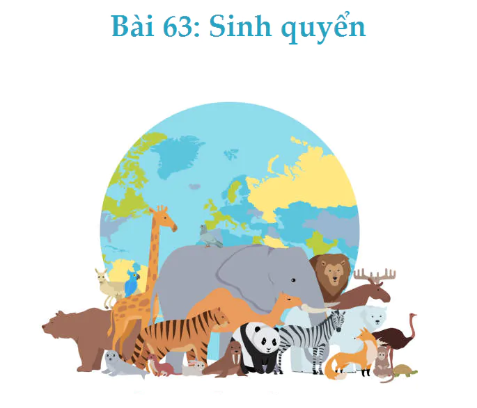 Bài 63: Sinh quyển