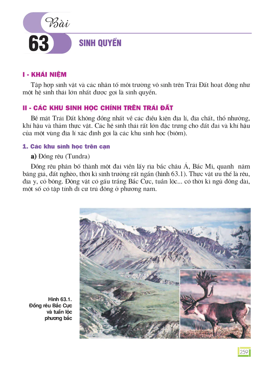 Bài 63: Sinh Quyển
