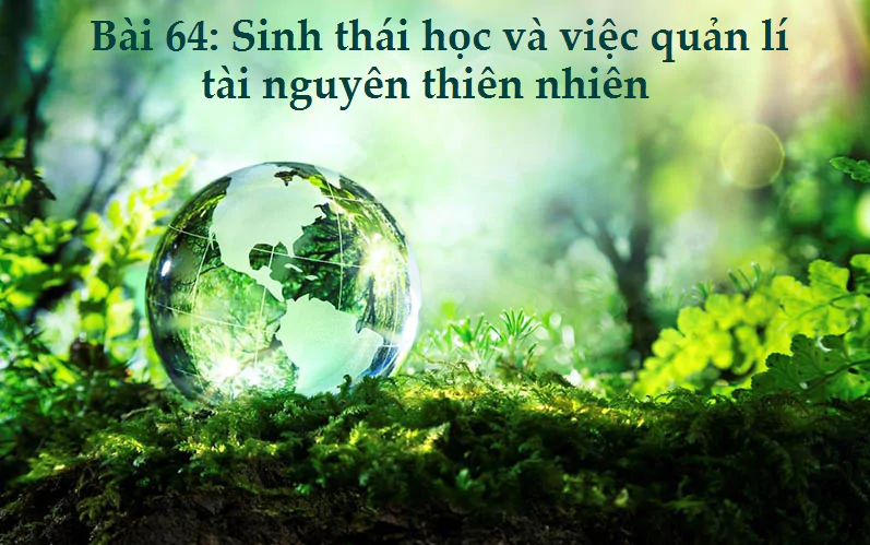 Bài 64: Sinh thái học và việc quản lí tài nguyên thiên nhiên