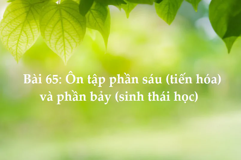 Bài 65: Ôn tập phần sáu (Tiến hóa) và phần bảy (Sinh thái học)