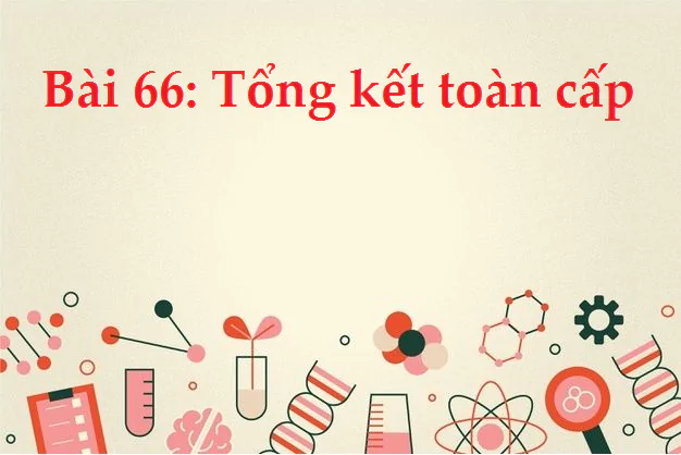 Bài 66: Tổng kết toàn cấp