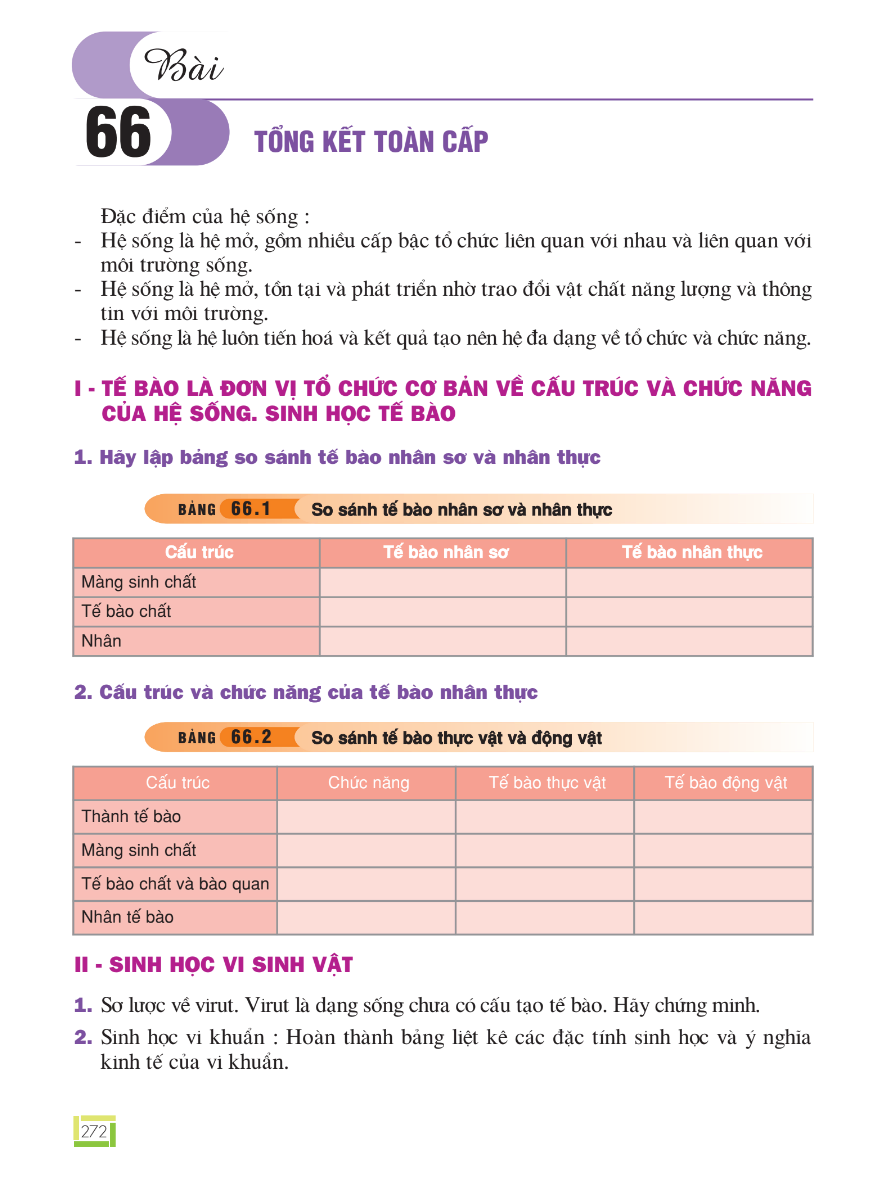 Bài 66: Tổng Kết Toàn Cấp
