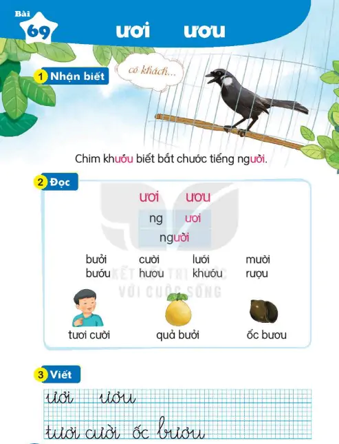 Bài 69: ươi ươu
