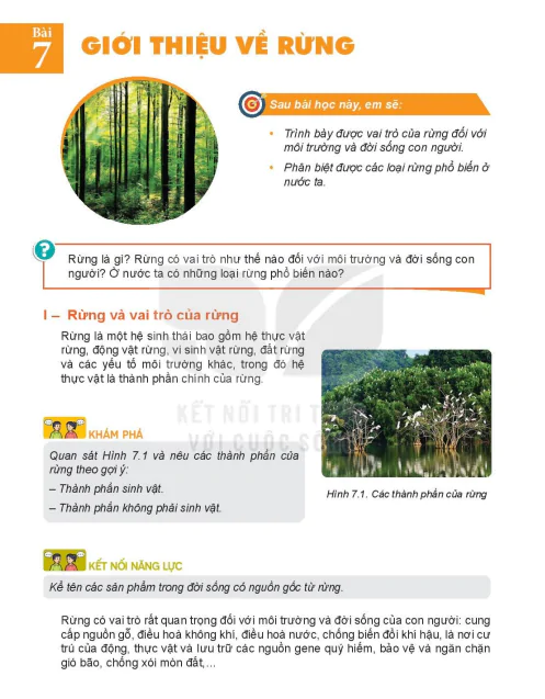 Bài 7: Giới thiệu về rừng
