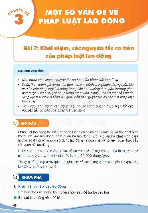 Bài 7: Khái Niệm, Các Nguyên Tắc Cơ Bản Của Pháp Luật Lao Động