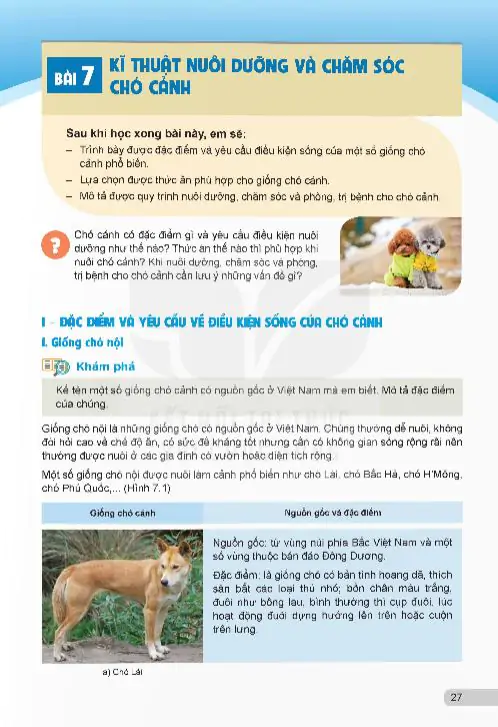 Bài 7: Kĩ Thuật Nuôi Dưỡng Và Chăm Sóc Chó Cảnh