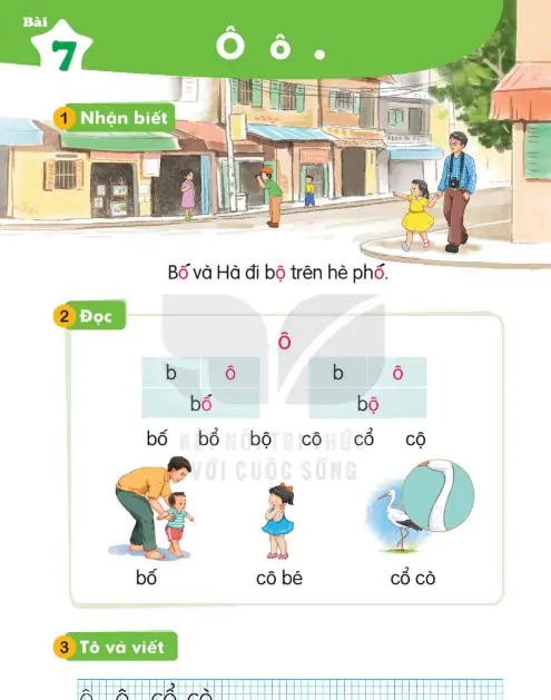 Bài 7: Ô ô .