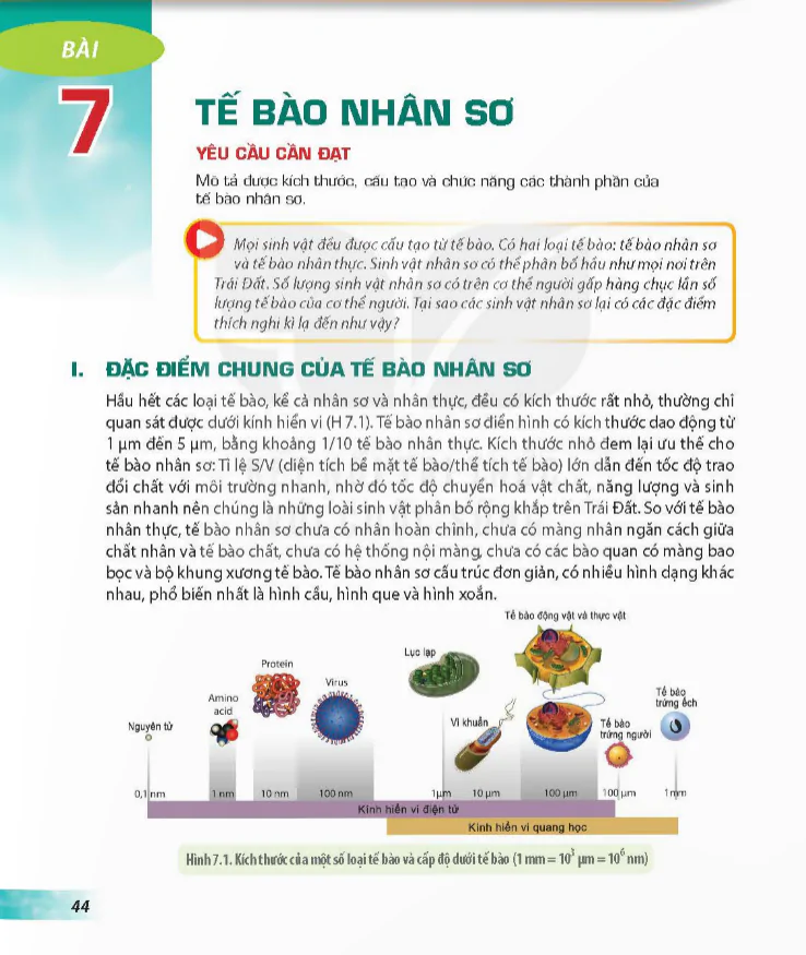 Bài 7: Tế bào nhân sơ