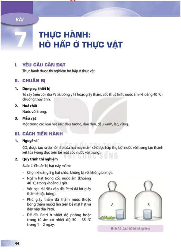BÀI 7: THỰC HÀNH: HÔ HẤP Ở THỰC VẬT