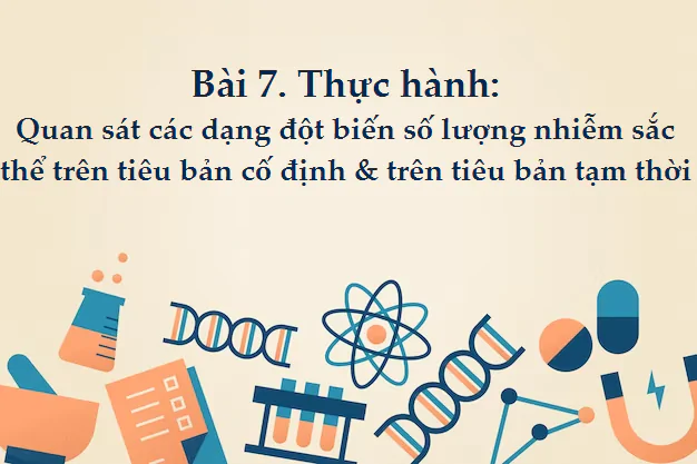 Bài 7. Thực hành: Quan sát các dạng đột biến số lượng nhiễm sắc thể trên tiêu bản cố định và trên tiêu bản tạm thời